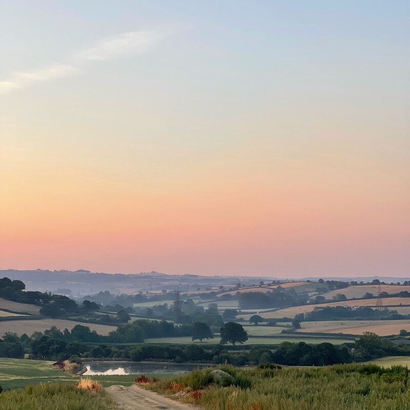 A view over a landscape of fields at dawn